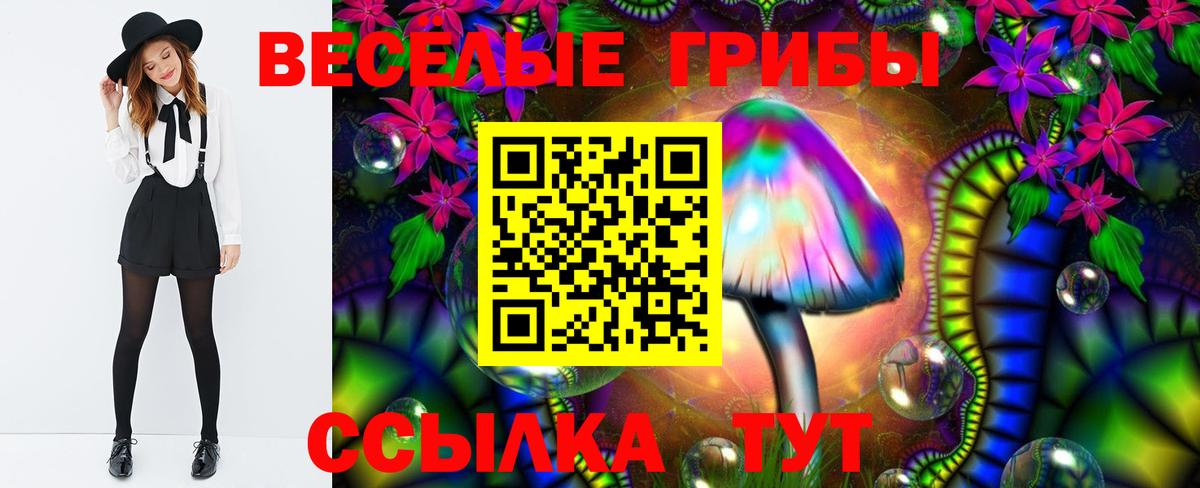 Усолье-Сибирское  Псилоцибиновые грибы мицелий  Вход с VPN 