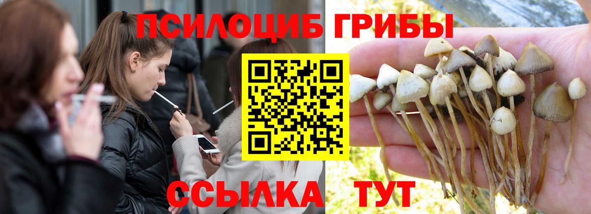 Галлюциногенные грибы Cubensis Усолье-Сибирское